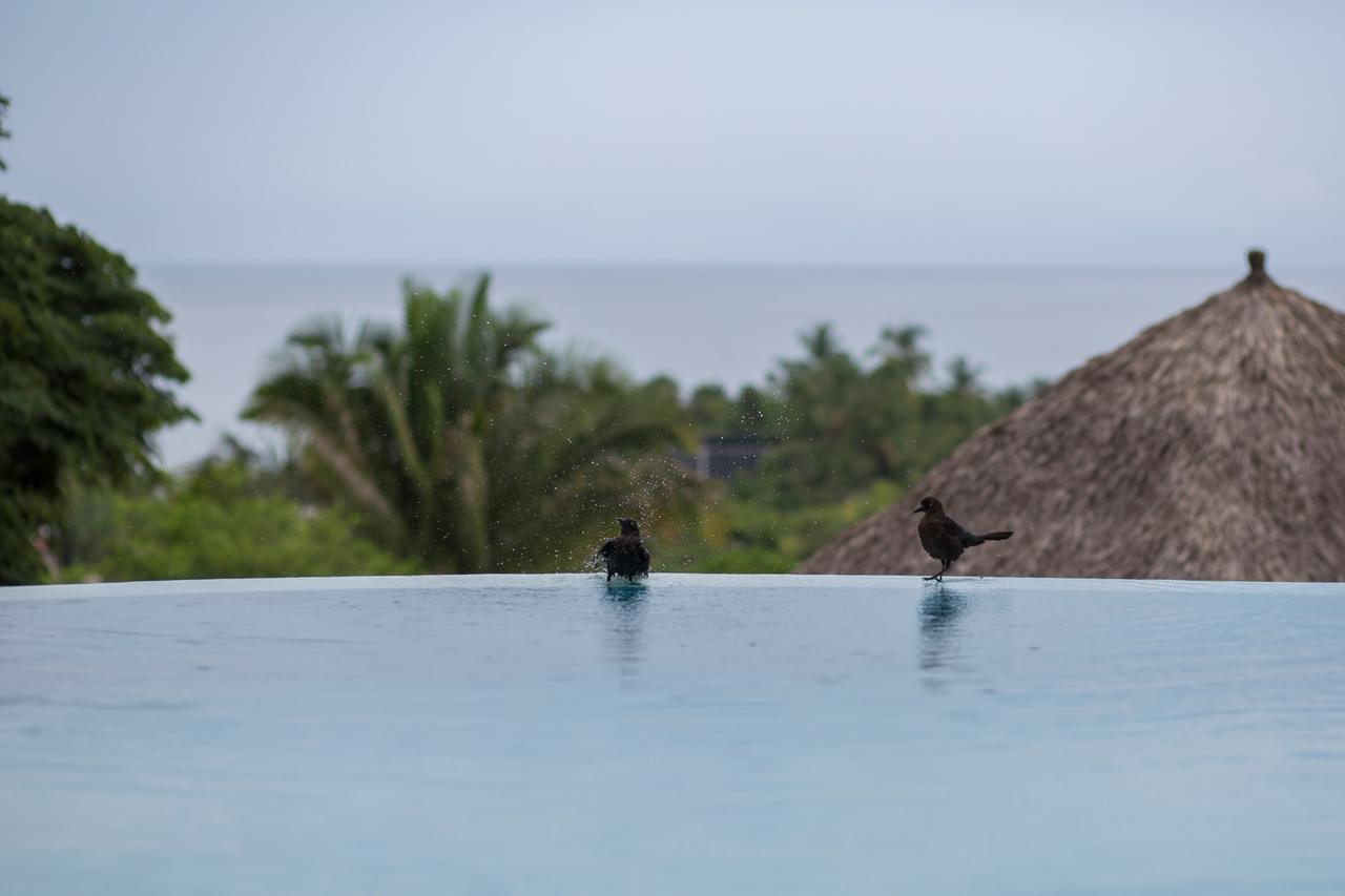 Anjali Casa Divina Hotel Sayulita Kültér fotó